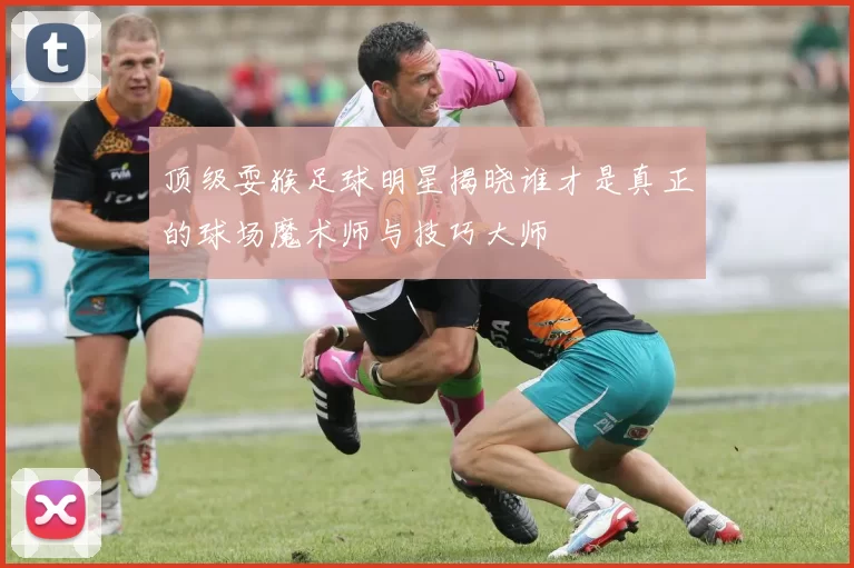 顶级耍猴足球明星揭晓谁才是真正的球场魔术师与技巧大师