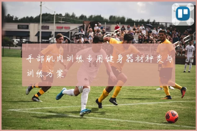 手部肌肉训练专用健身器材种类与训练方案