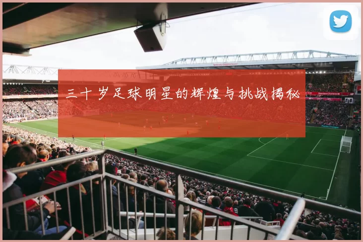 三十岁足球明星的辉煌与挑战揭秘