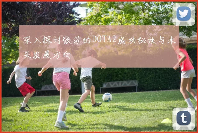 深入探讨张芳的DOTA2成功秘诀与未来发展方向