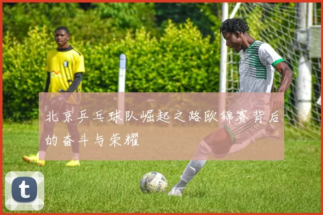 北京乒乓球队崛起之路欧锦赛背后的奋斗与荣耀