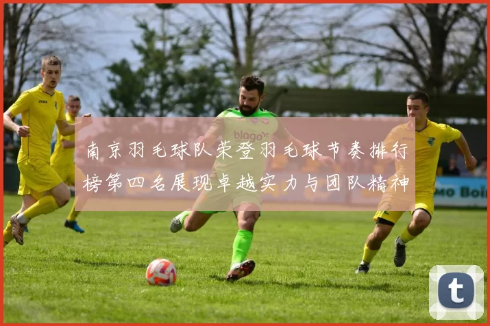 南京羽毛球队荣登羽毛球节奏排行榜第四名展现卓越实力与团队精神