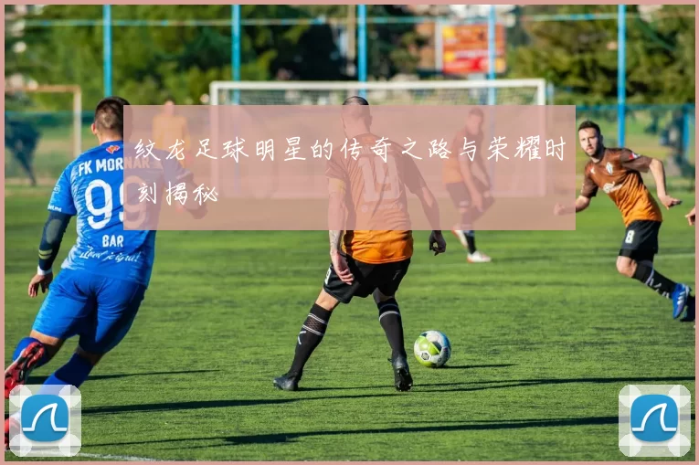 纹龙足球明星的传奇之路与荣耀时刻揭秘