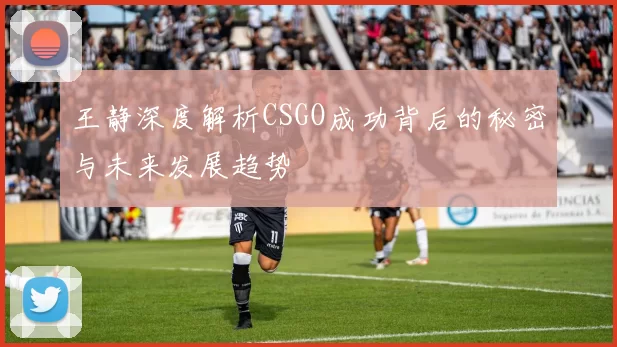 王静深度解析CSGO成功背后的秘密与未来发展趋势