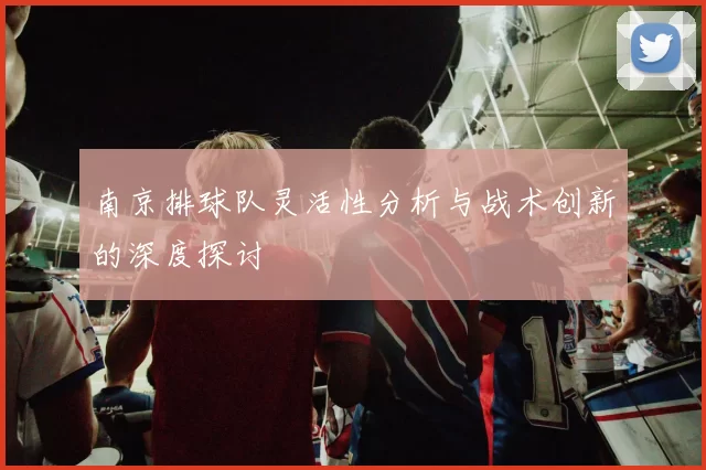 南京排球队灵活性分析与战术创新的深度探讨