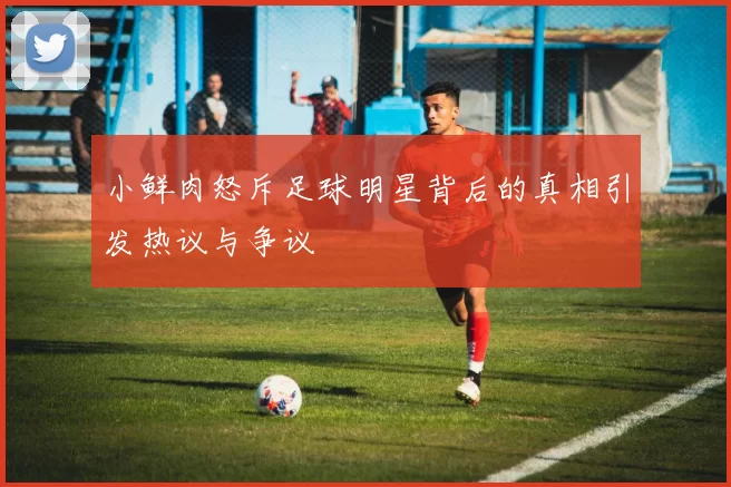 小鲜肉怒斥足球明星背后的真相引发热议与争议