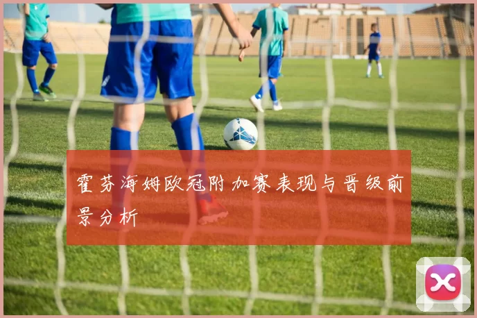 霍芬海姆欧冠附加赛表现与晋级前景分析