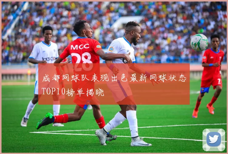 成都网球队表现出色最新网球状态TOP10榜单揭晓