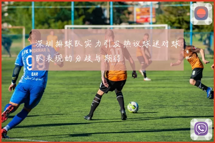 深圳排球队实力引发热议球迷对球队表现的分歧与期待