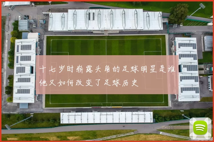 十七岁时崭露头角的足球明星是谁他又如何改变了足球历史